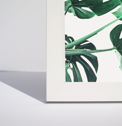 White color framed print