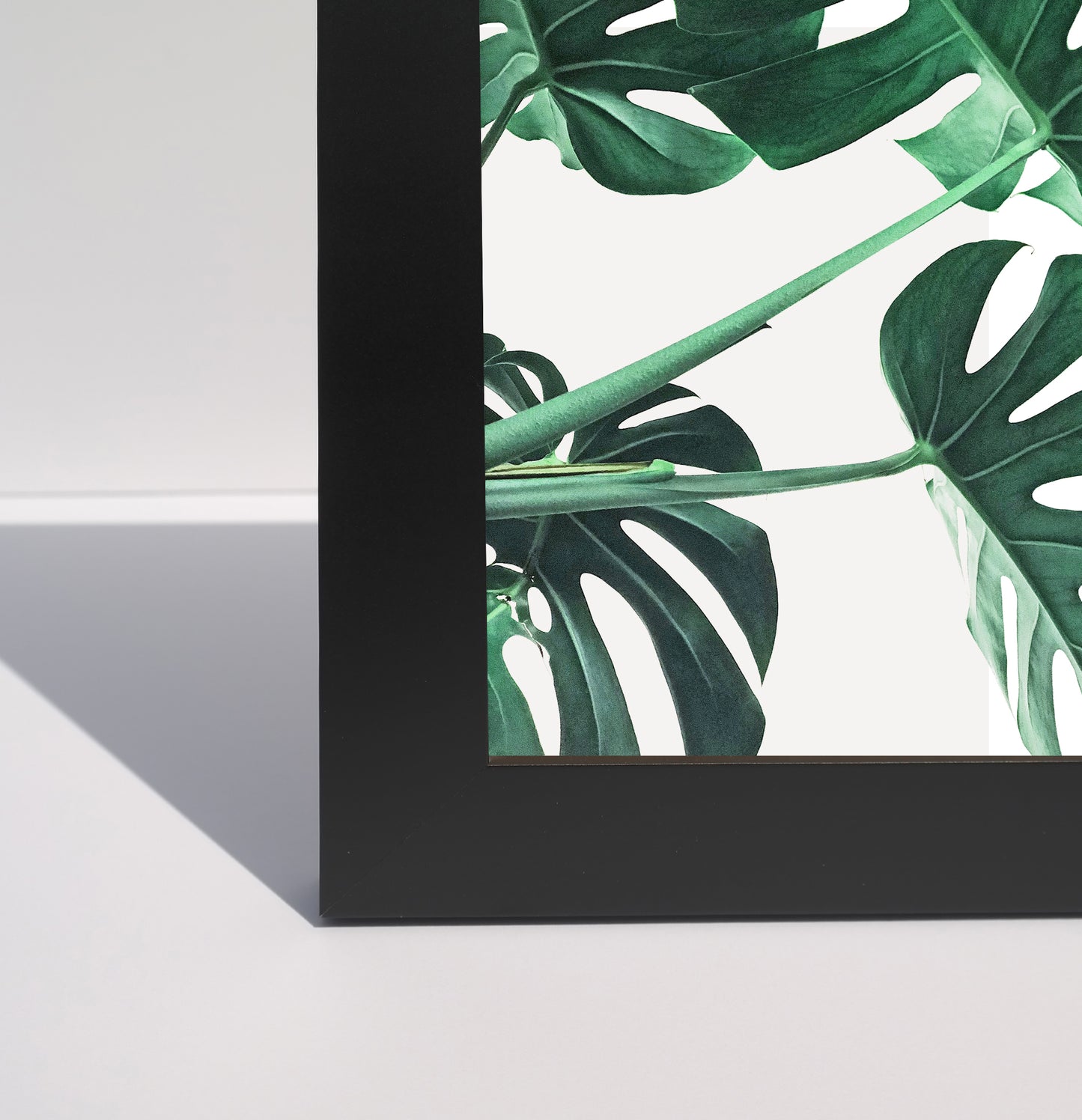 Black frame profile with monstera print