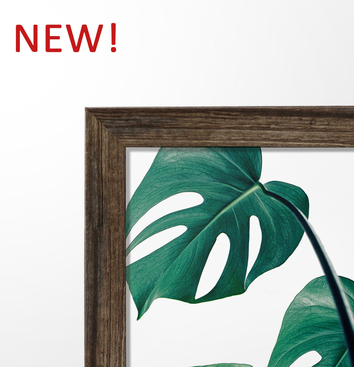Monstera Leaves 3 Piece Framed Wall Art