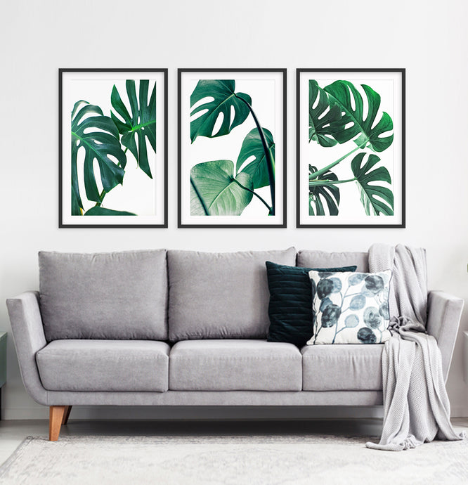 Monstera palm leaves. Tropical gallery wall for living room. Black frames with mat
