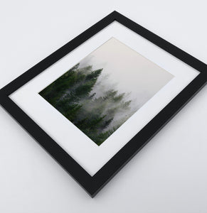 A framed print with a foggy forest