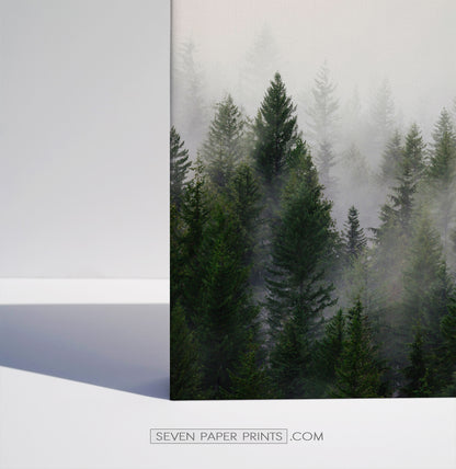 Green foggy forest canvas set of 3 prints #152