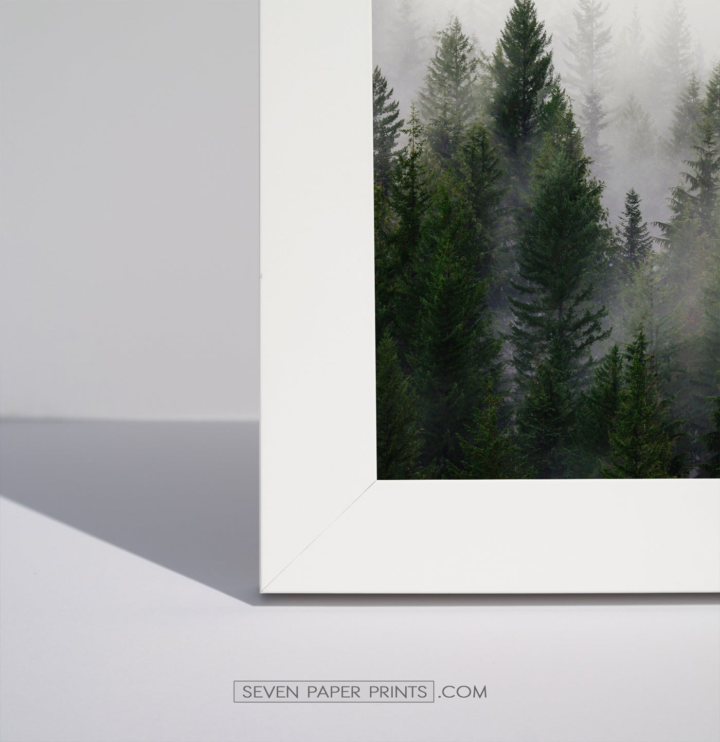A corner of a white frame