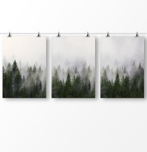 Forest Photography, Misty Forest, Nature Art, Set of 3 Forest Printable, Trees Wall Art, Green Wall Art, Foggy Landscape
