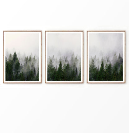 Misty Pines on Foggy Landscape Photography Set of 3 Prints