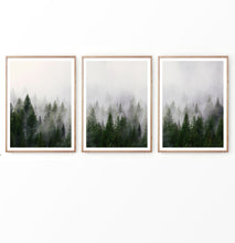 Load image into Gallery viewer, Misty Pines on Foggy Landscape Photography Set of 3 Prints

