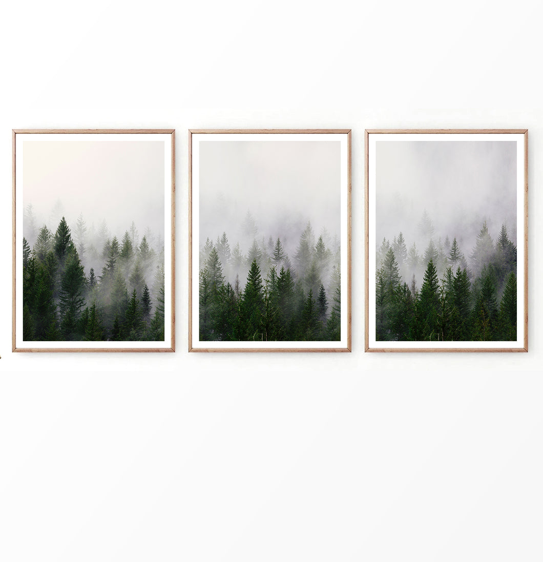 Misty Pines on Foggy Landscape Photography Set of 3 Prints
