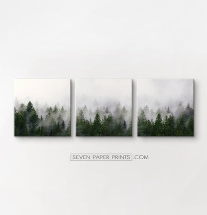 Green foggy forest canvas set of 3 prints #152