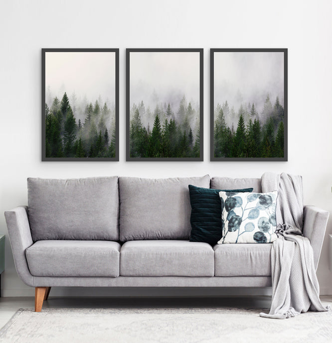 Three framed prints with a foggy forest