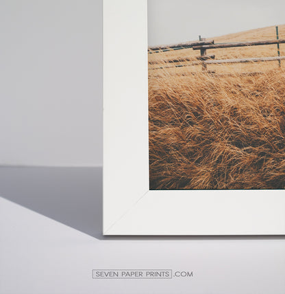 Corner of a white frame