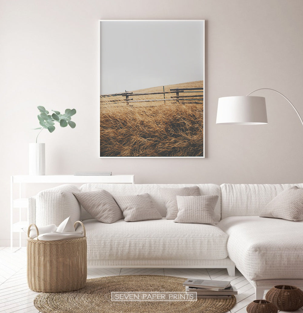White-framed in the living room with white sofa