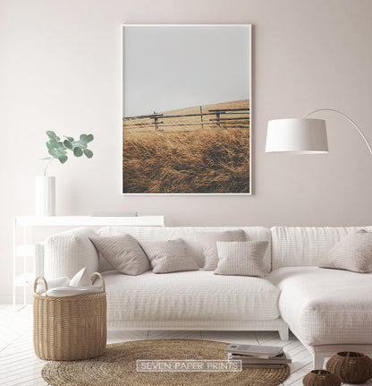 White-framed in the living room with white sofa
