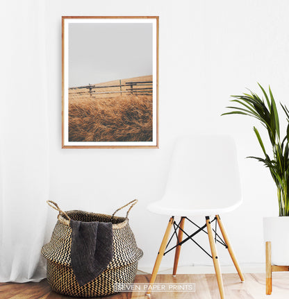Wooden-framed In A White Room