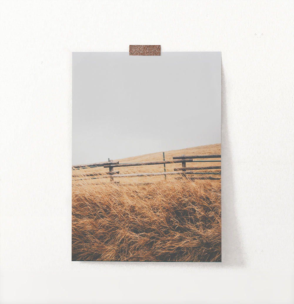 Golden Wheat Field Wooden Fence Wall Art
