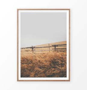 Wooden-framed photo print