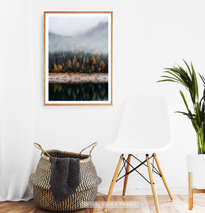 Wooden-framed In A White Room