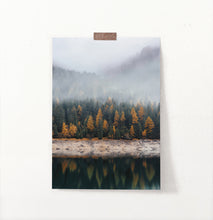 Load image into Gallery viewer, Autumn Coniferous Forest Reflecting In Lake Photo Poster

