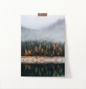 Autumn Coniferous Forest Reflecting In Lake Photo Poster