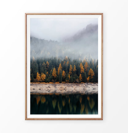 Wooden-framed photo print