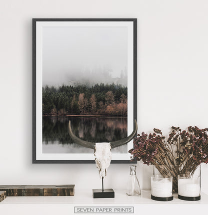 Black-framed With Bull Skull and some dried plants
