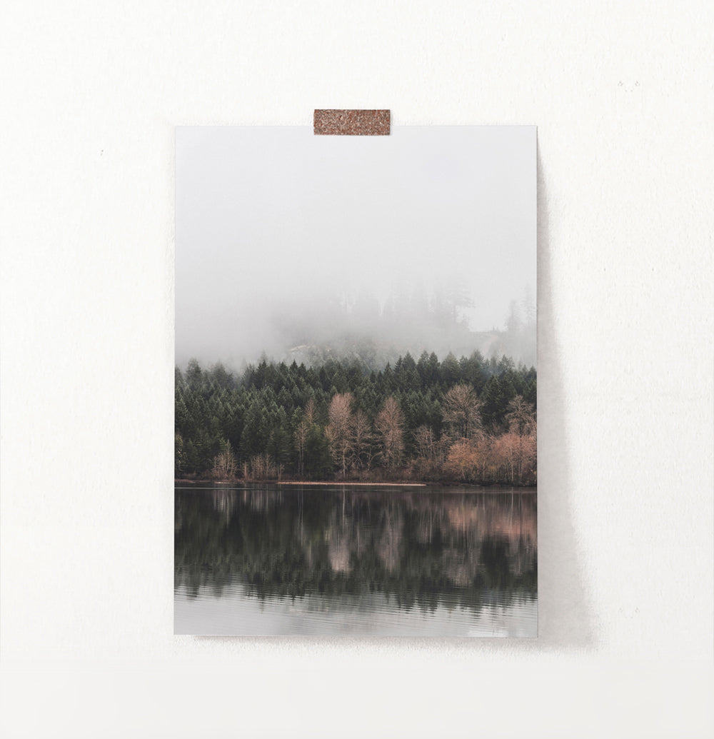 Spruce Forest Reflecting In The Mirror Wall Art