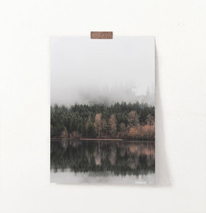 Spruce Forest Reflecting In The Mirror Wall Art