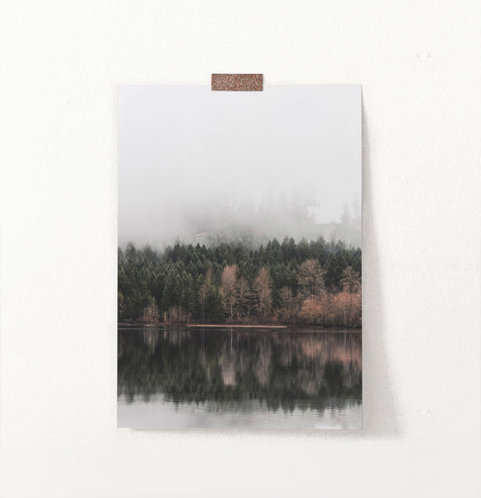 Spruce Forest Reflecting In The Mirror Wall Art