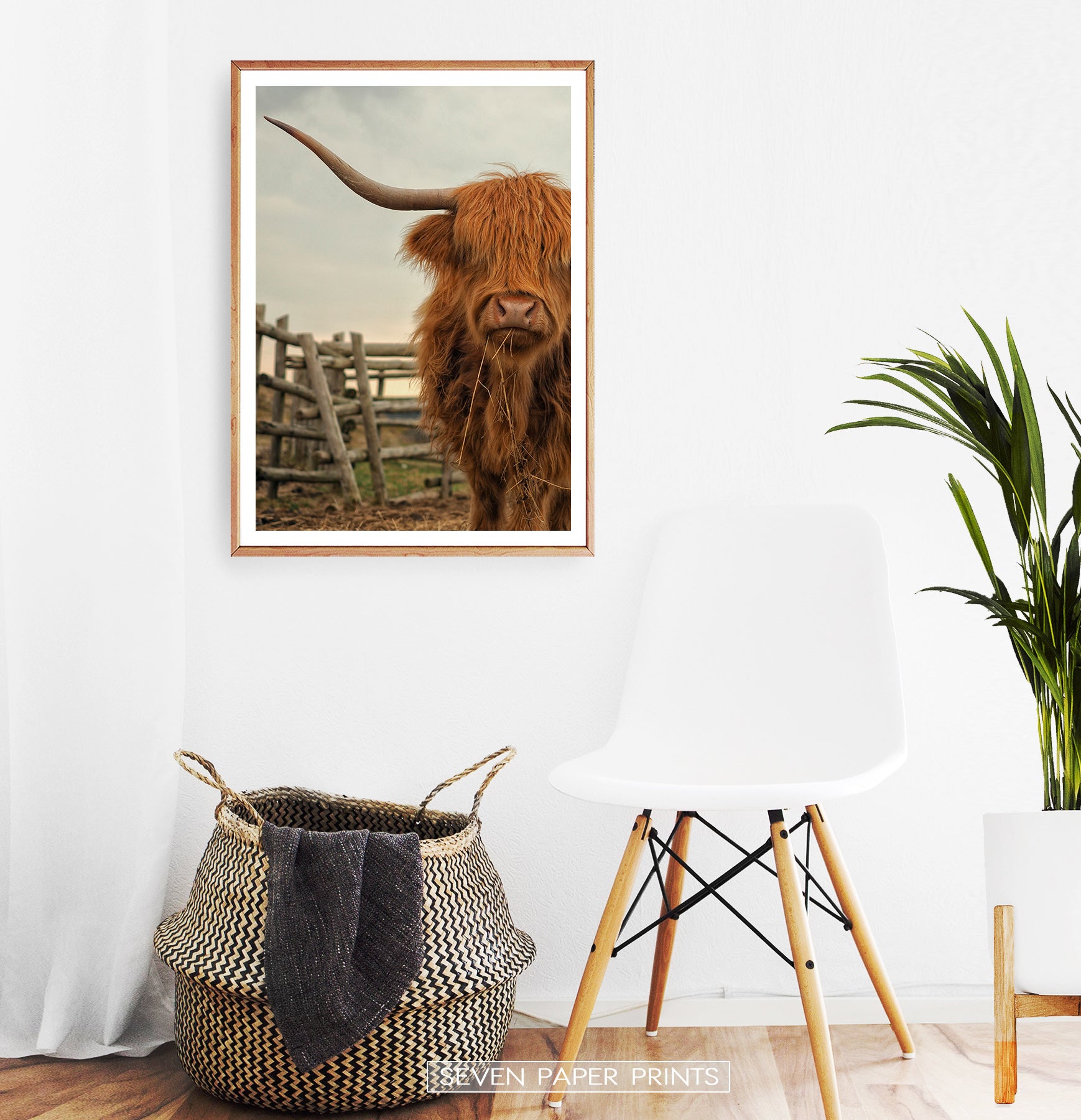Wooden-framed In A White Room