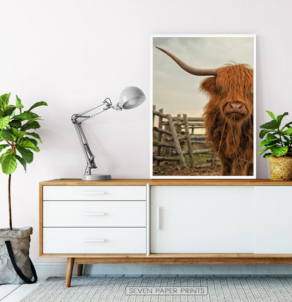 White-framed on a wooden cabinet