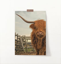 Load image into Gallery viewer, Hairy Red Bull Chewing A Straw Photo Wall Art
