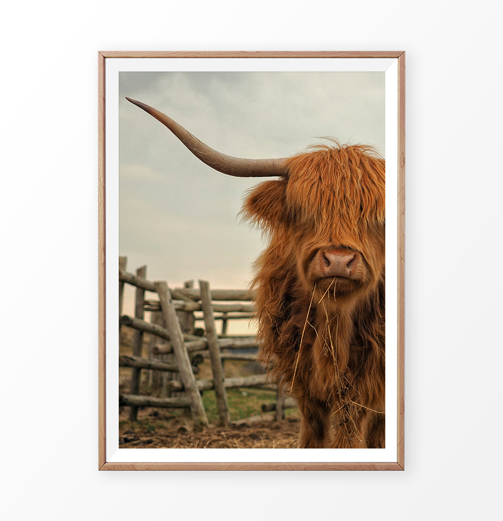 Wooden-framed photo print
