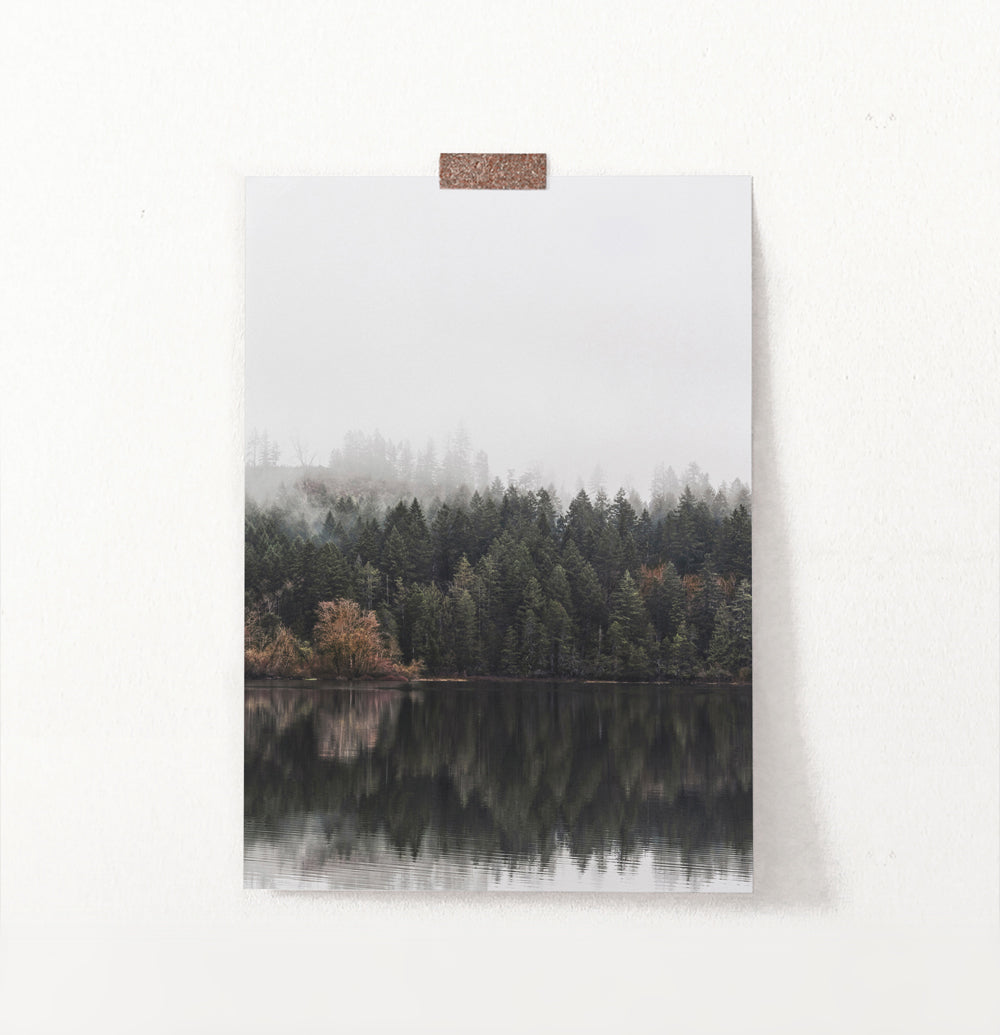 Forest Reflection In The River Photo Wall Art