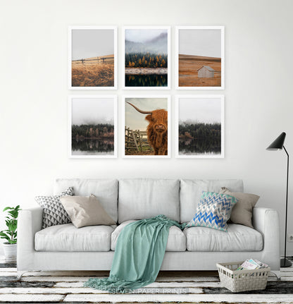 White-framed in the living room with gray sofa