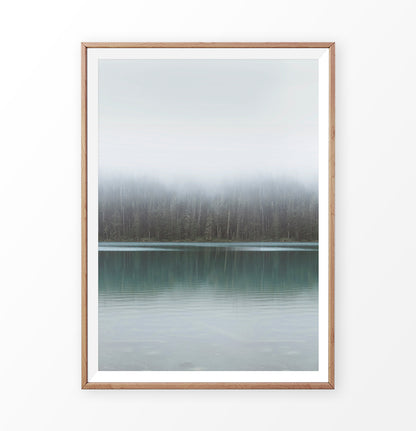 Foggy Green Forest Calm Morning Lake Poster Natural Colors