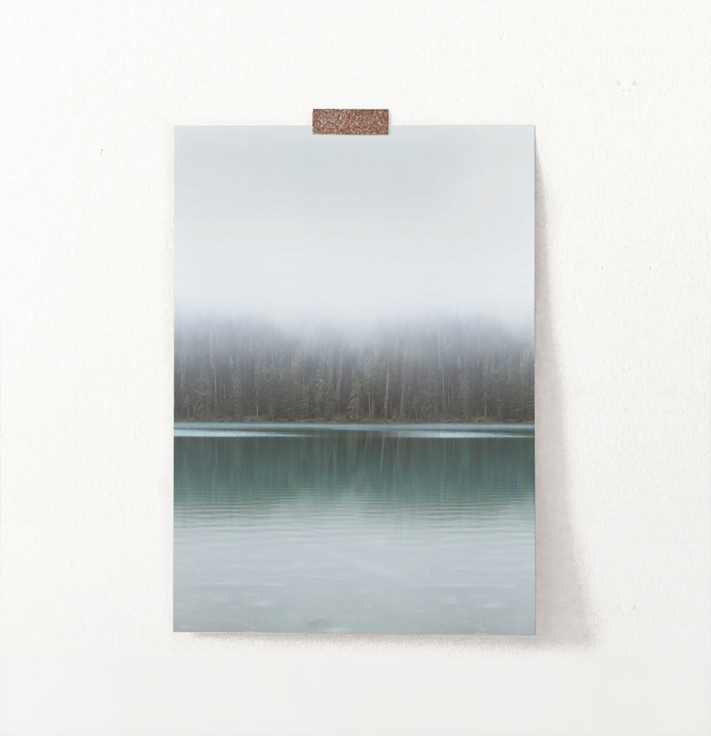 Foggy Green Forest Calm Morning Lake Poster Natural Colors