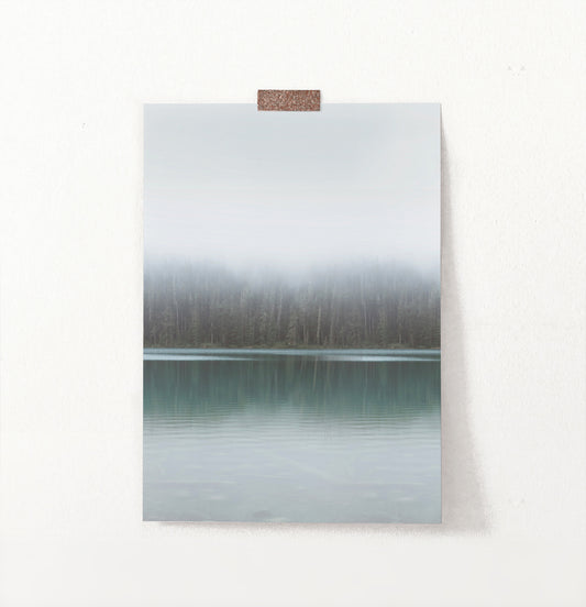 Foggy Green Forest Calm Morning Lake Poster Natural Colors