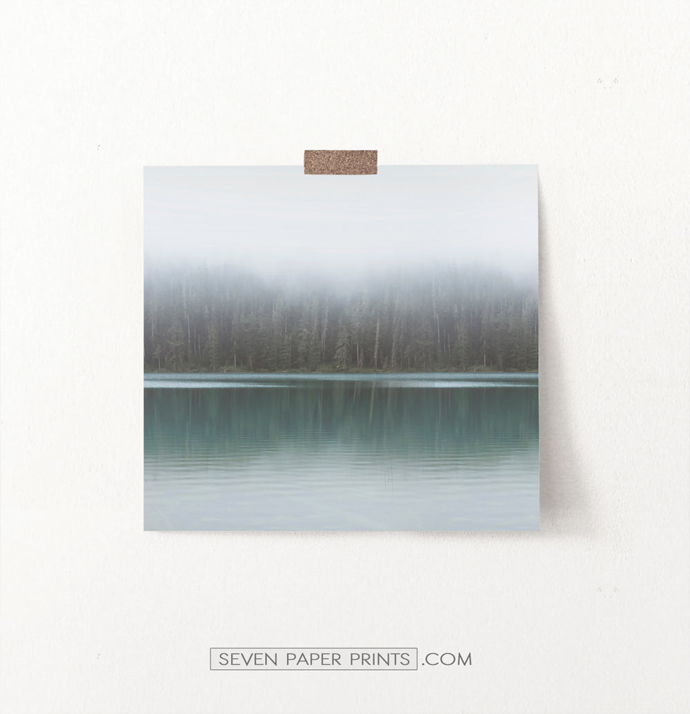 Foggy Green Forest Calm Morning Lake Poster Natural Colors