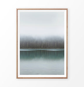 Foggy Green Forest Calm Morning Lake Poster Natural Colors