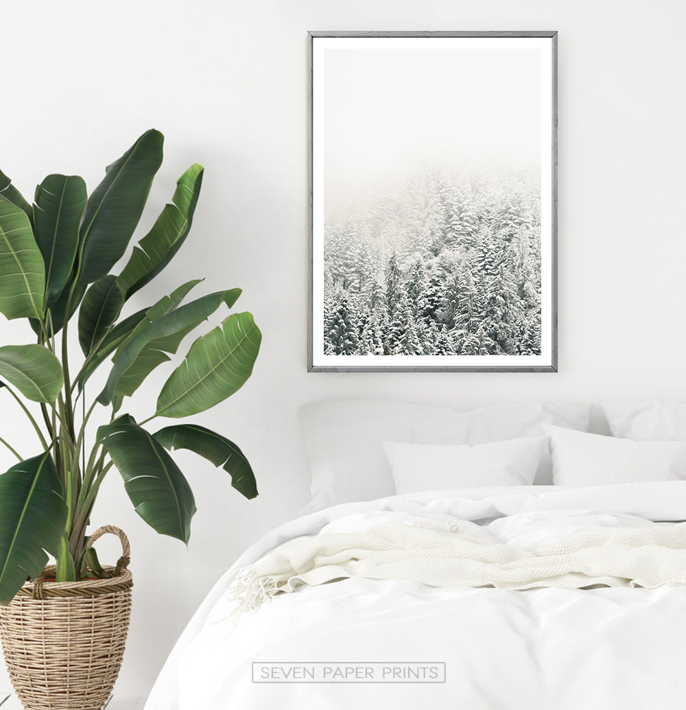 Snowy Branches Spruce Forest Photo Wall Art