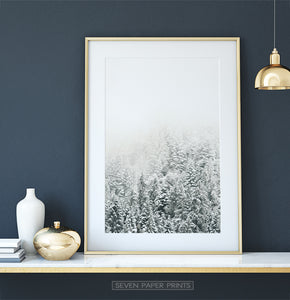 Gold-framed Snowy Branches Spruce Forest Photo Wall Art