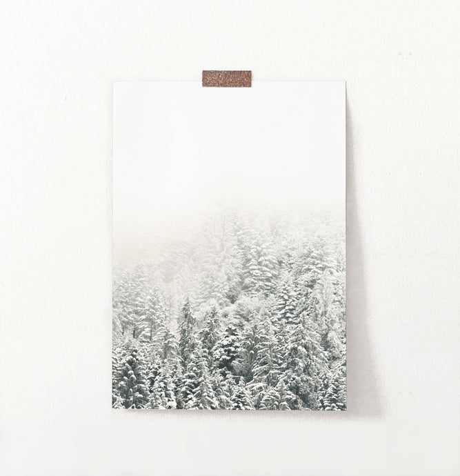 Snowy Branches Spruce Forest Photo Wall Art