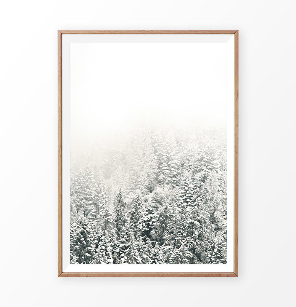 Snowy Branches Spruce Forest Photo Wall Art