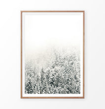 Load image into Gallery viewer, Snowy Branches Spruce Forest Photo Wall Art
