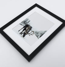 Load image into Gallery viewer, A photo print with a winter moose
