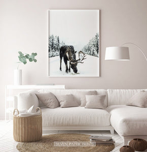 White-framed Moose On a Snowy Country Road Photo Wall Decor