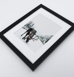 A photo print with a winter moose