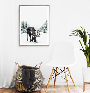 Wood-framed Moose On a Snowy Country Road Photo Wall Decor