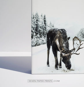 Moose winter and winter nature set of 3 canvases #161