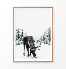 Load image into Gallery viewer, Wood-framed Moose On a Snowy Country Road Photo Wall Decor
