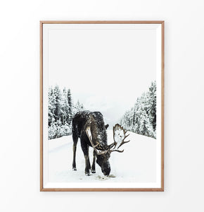 Wood-framed Moose On a Snowy Country Road Photo Wall Decor